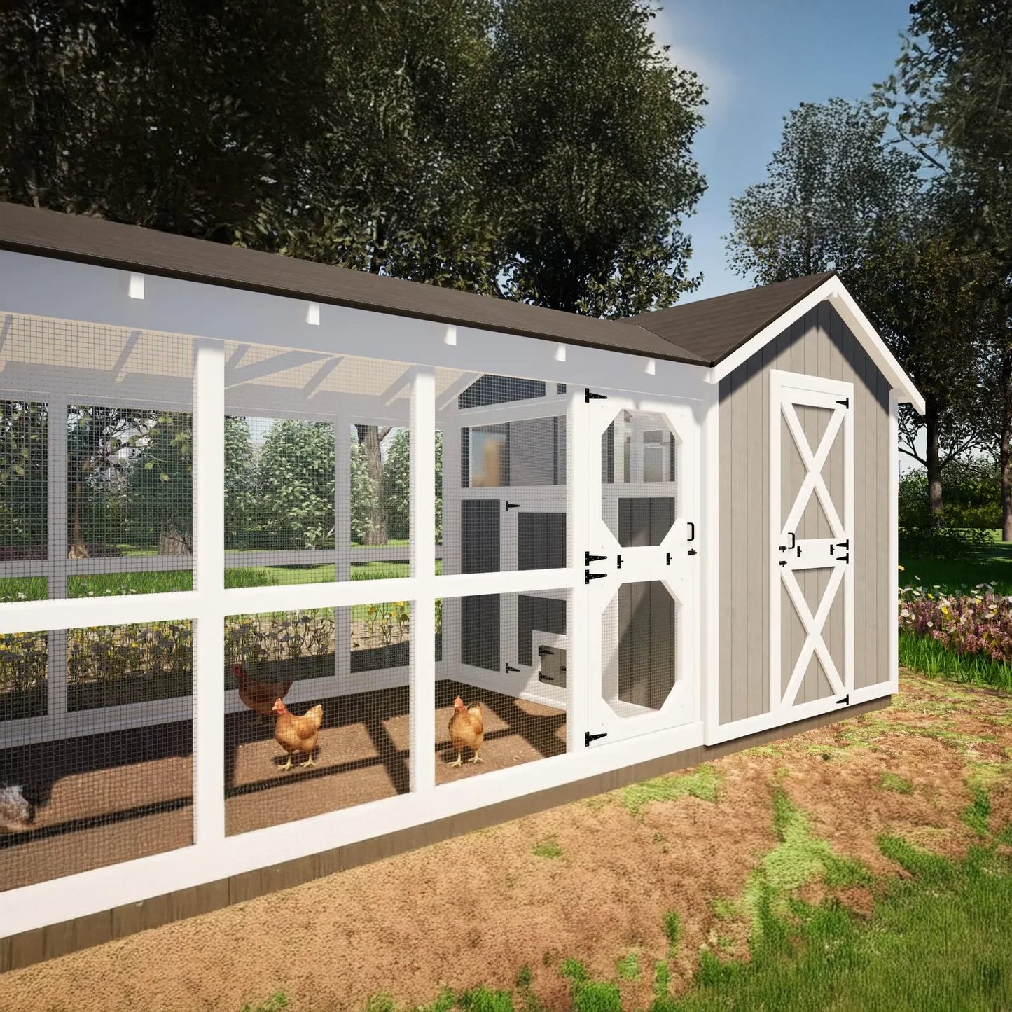 Large Chicken Coop