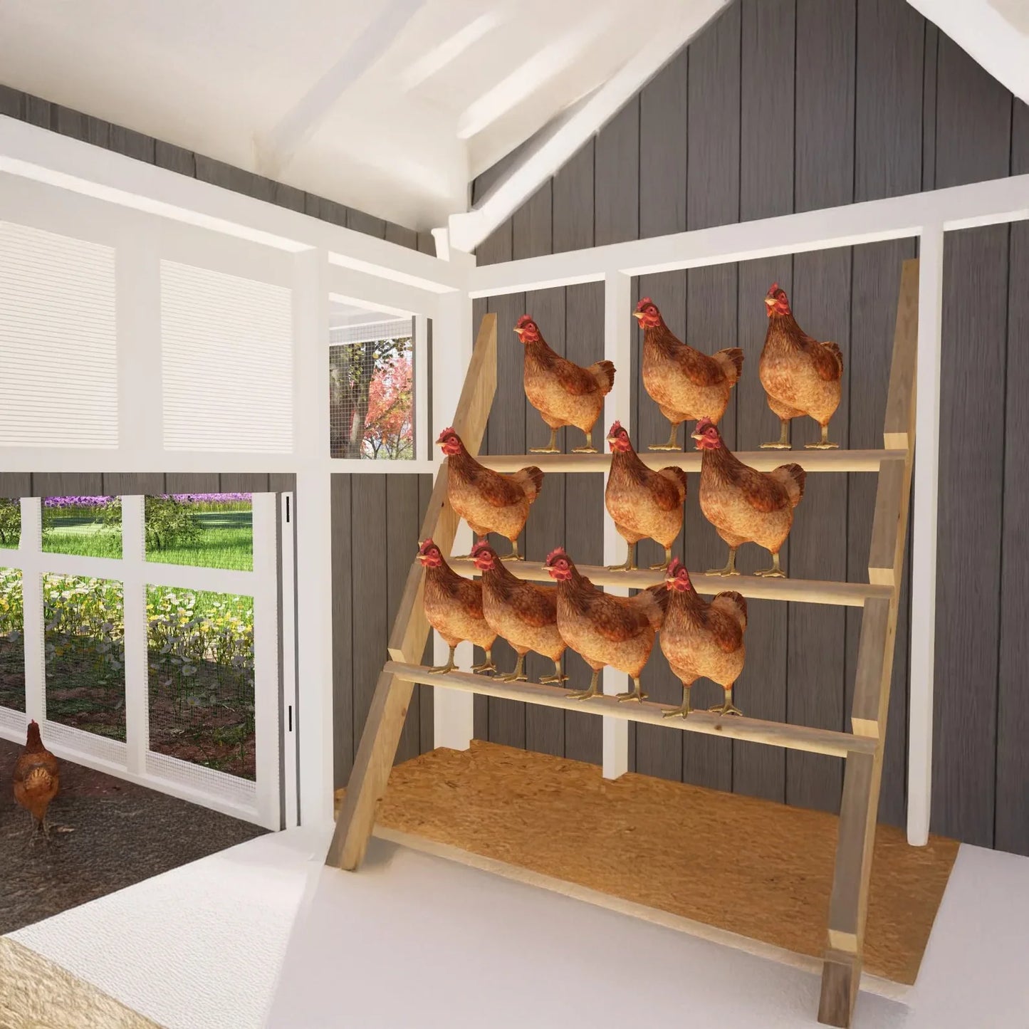 Large Chicken Coop