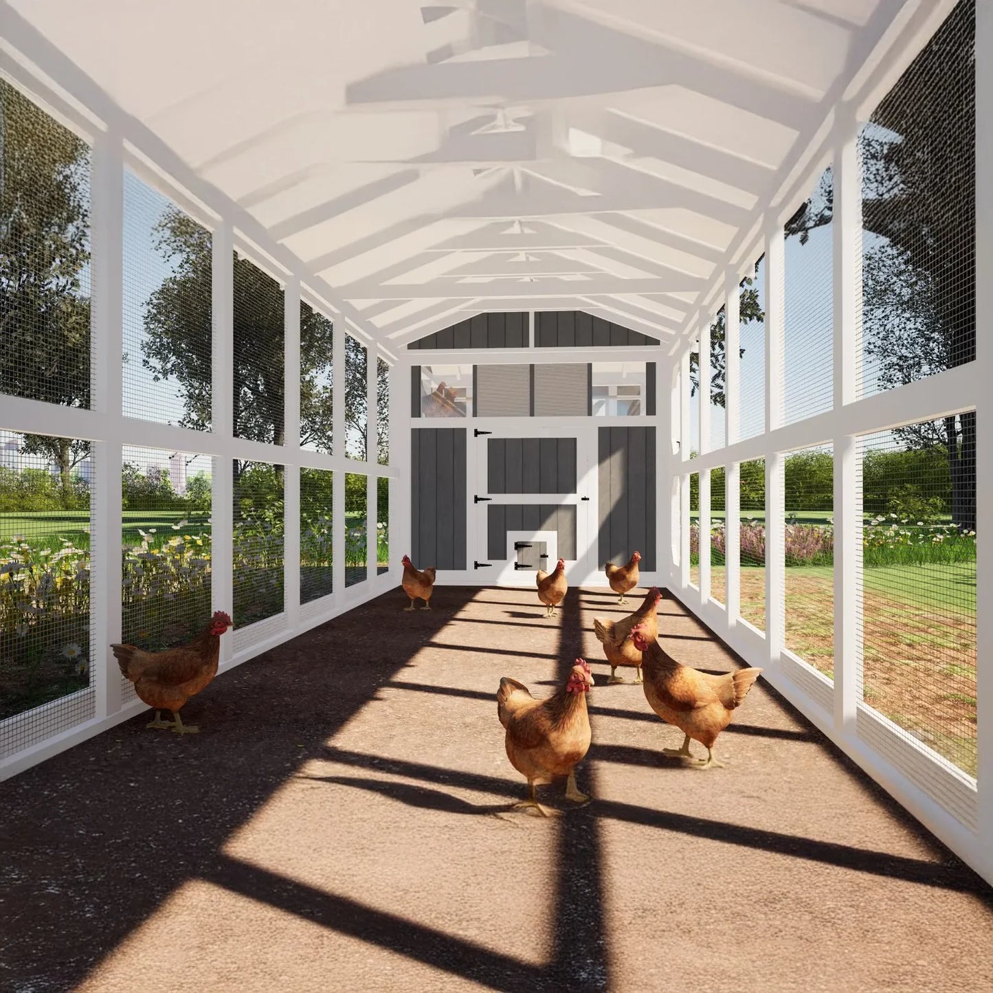 Large Chicken Coop