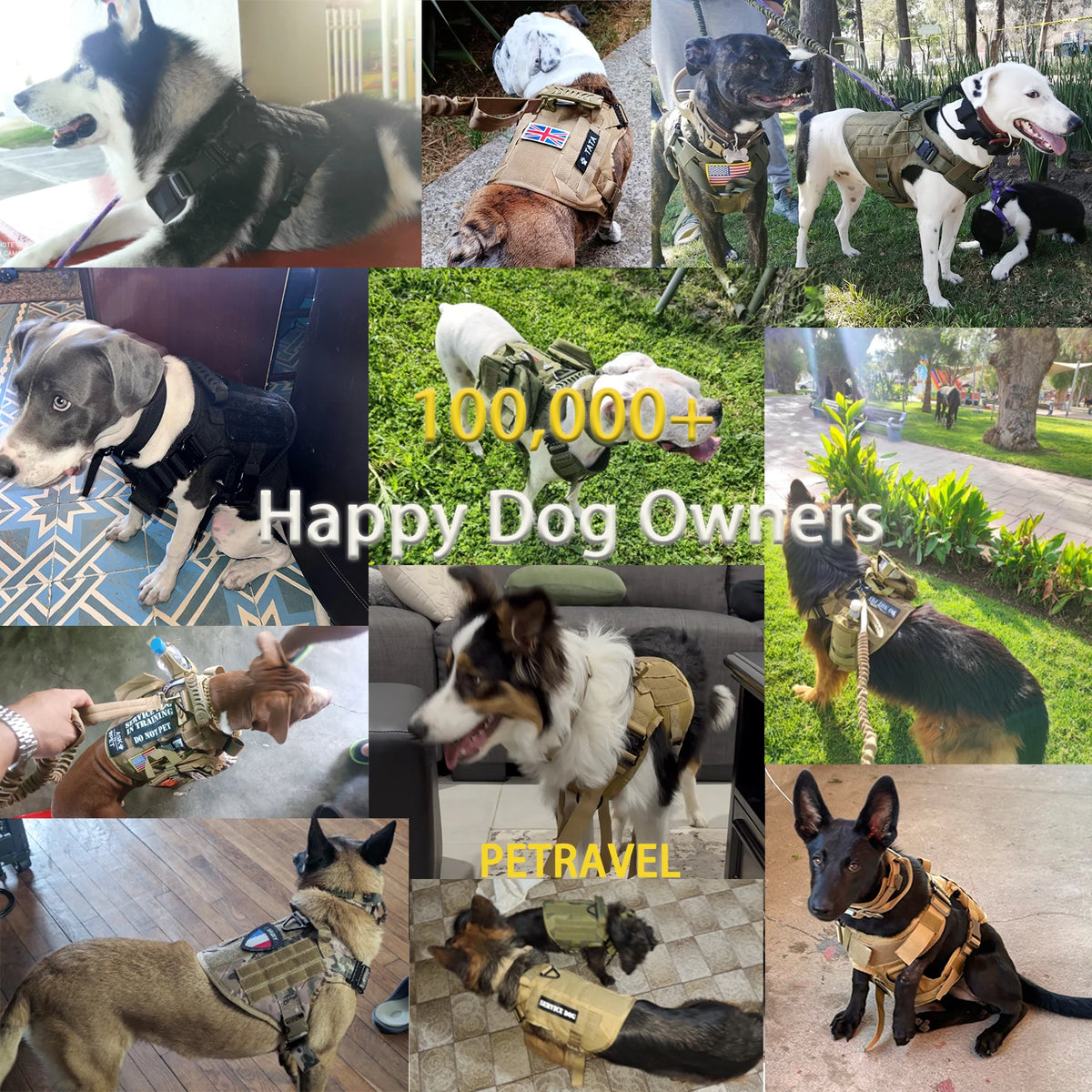 Tactical Dog Harness, Collar, Leash