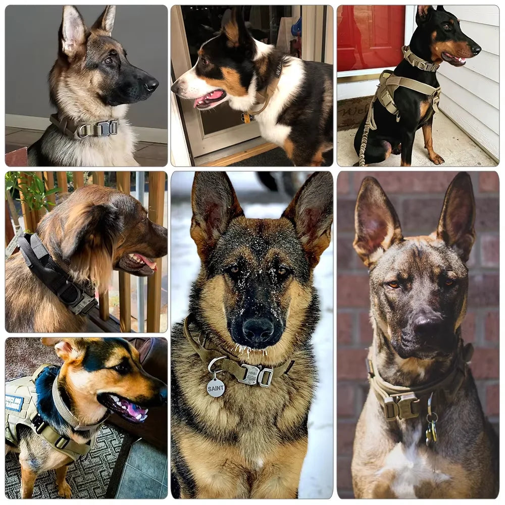 Adjustable, Tactical Training Dog Collar